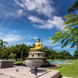 Colombo City tour